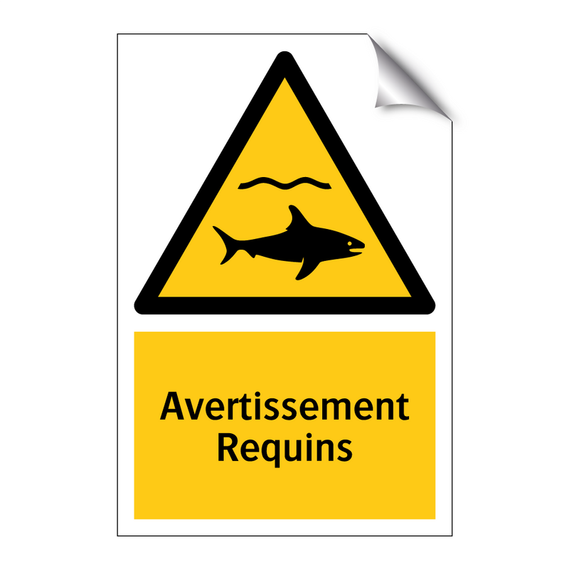 Avertissement Requins