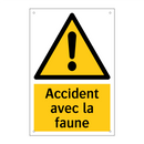 Accident avec la faune