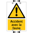Accident avec la faune