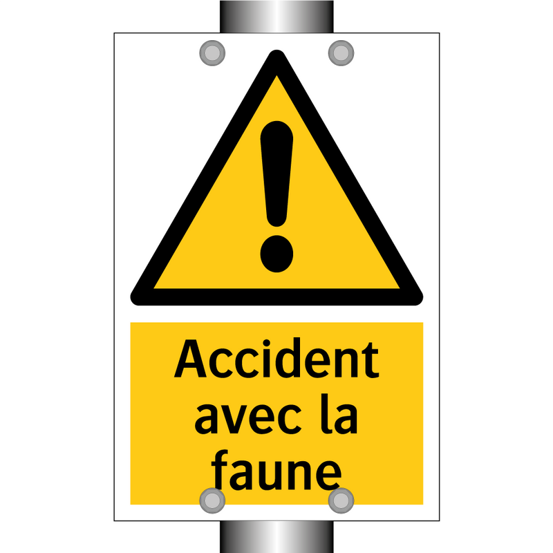 Accident avec la faune
