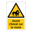 Jeune cheval sur la route