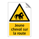 Jeune cheval sur la route