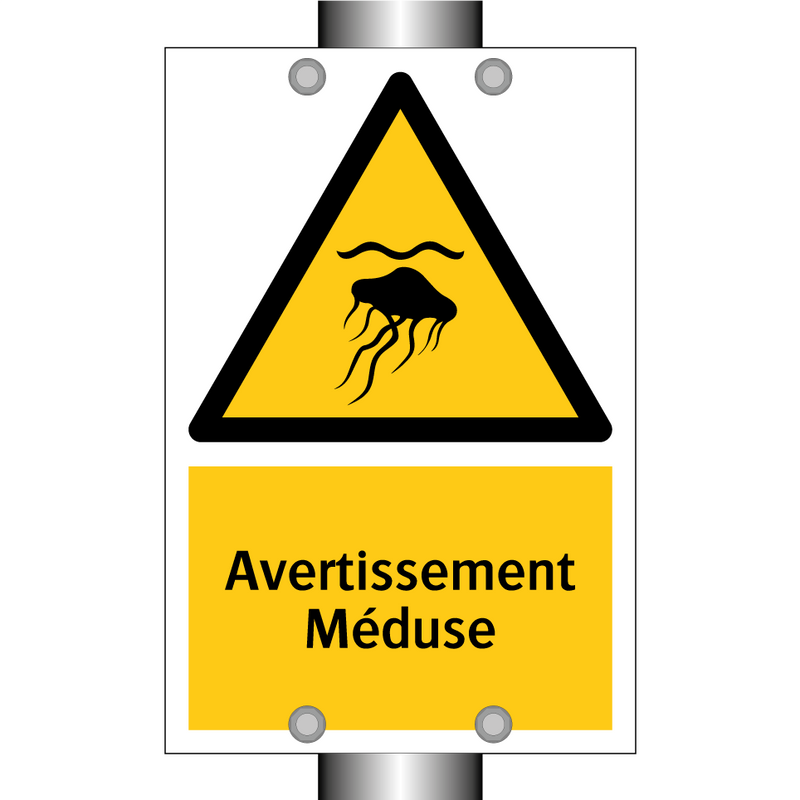 Avertissement Méduse