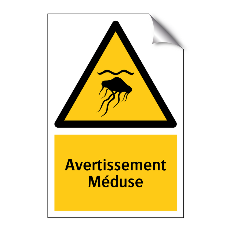 Avertissement Méduse