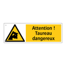 Attention ! Taureau dangereux