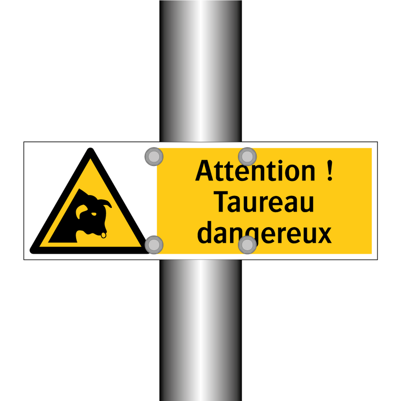 Attention ! Taureau dangereux