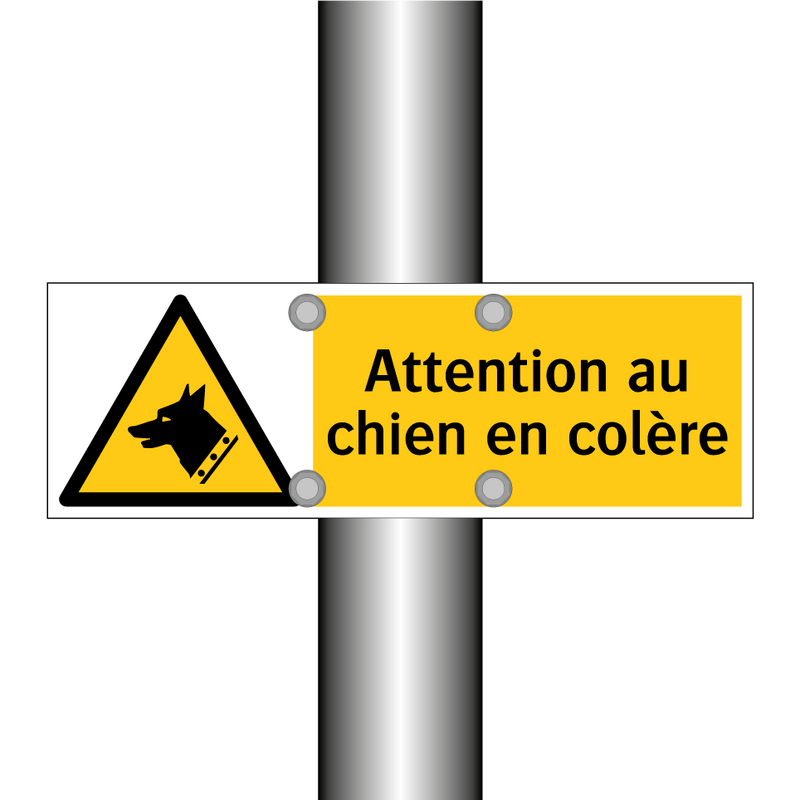 Attention au chien en colère
