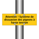 Attention ! Système de dissuasion des pigeons à haute tension
