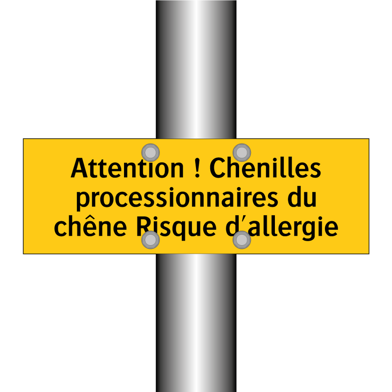 Attention ! Chenilles processionnaires du chêne Risque d'allergie