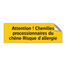 Attention ! Chenilles processionnaires du chêne Risque d'allergie