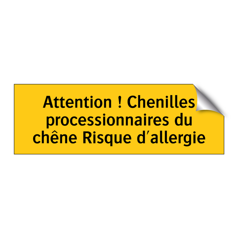 Attention ! Chenilles processionnaires du chêne Risque d'allergie