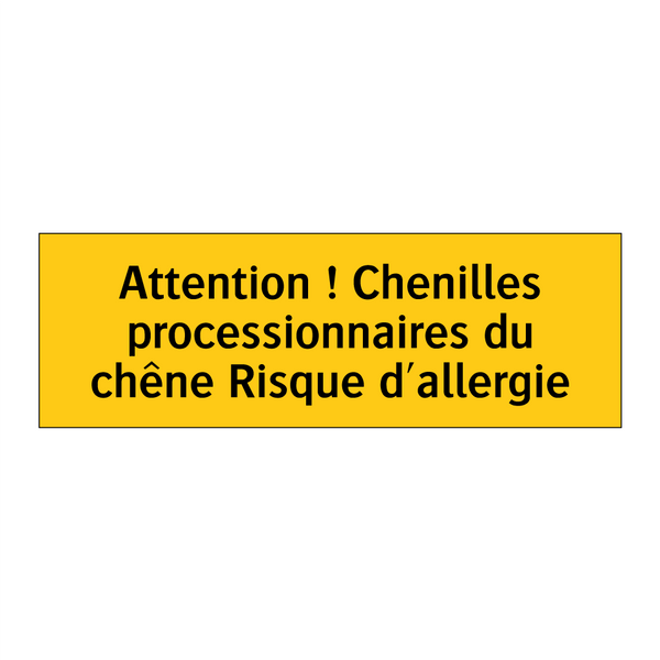 Attention ! Chenilles processionnaires du chêne Risque d'allergie