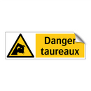 Danger taureaux