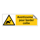 Avertissement pour border collie