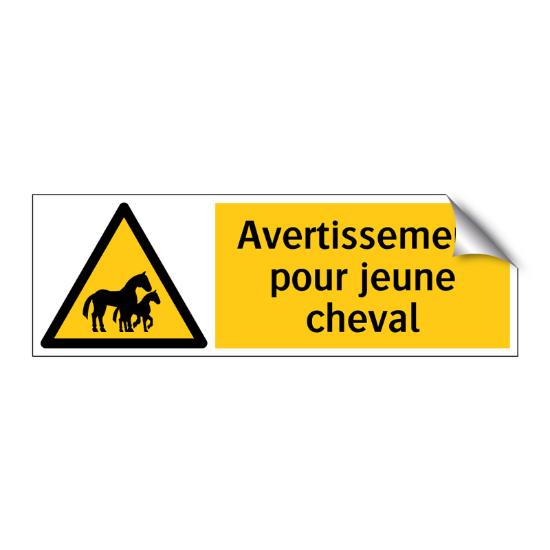 Avertissement pour jeune cheval