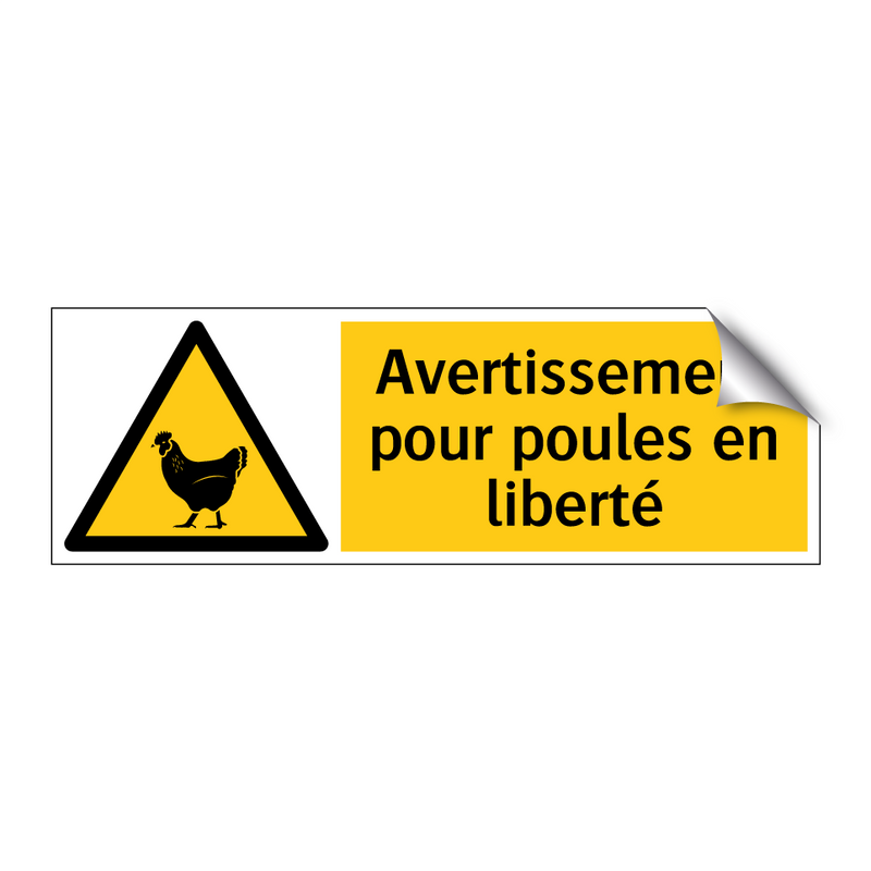 Avertissement pour poules en liberté