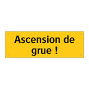 Ascension de grue !