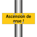 Ascension de grue !