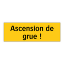 Ascension de grue !