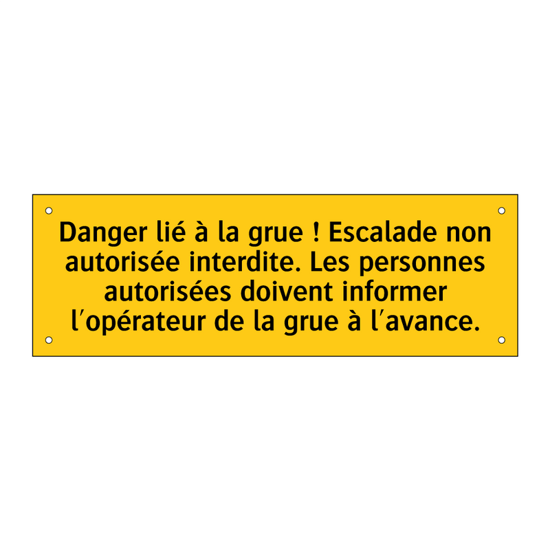 Danger lié à la grue ! Escalade non autorisée interdite. Les personnes autorisées doivent informer l'opérateur de la grue à l'avance