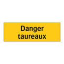 Danger taureaux