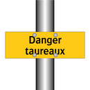 Danger taureaux