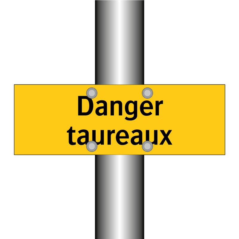 Danger taureaux