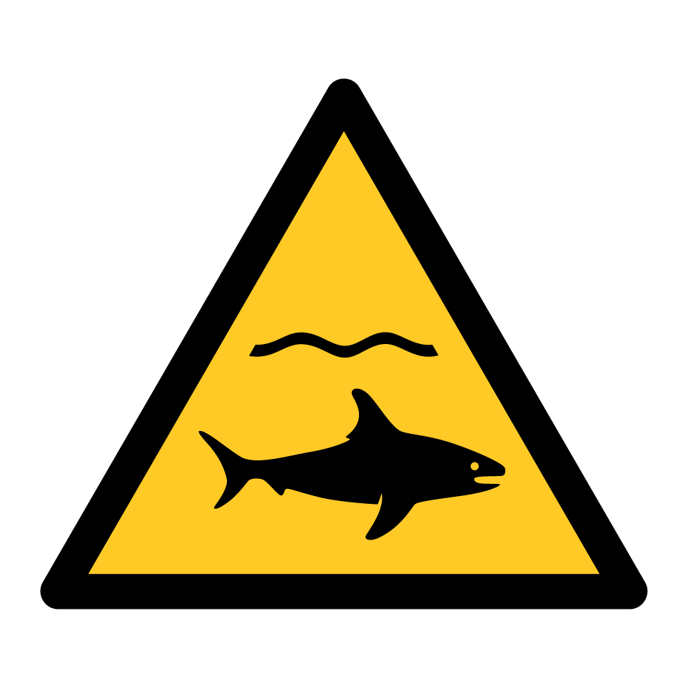 W054 Requins