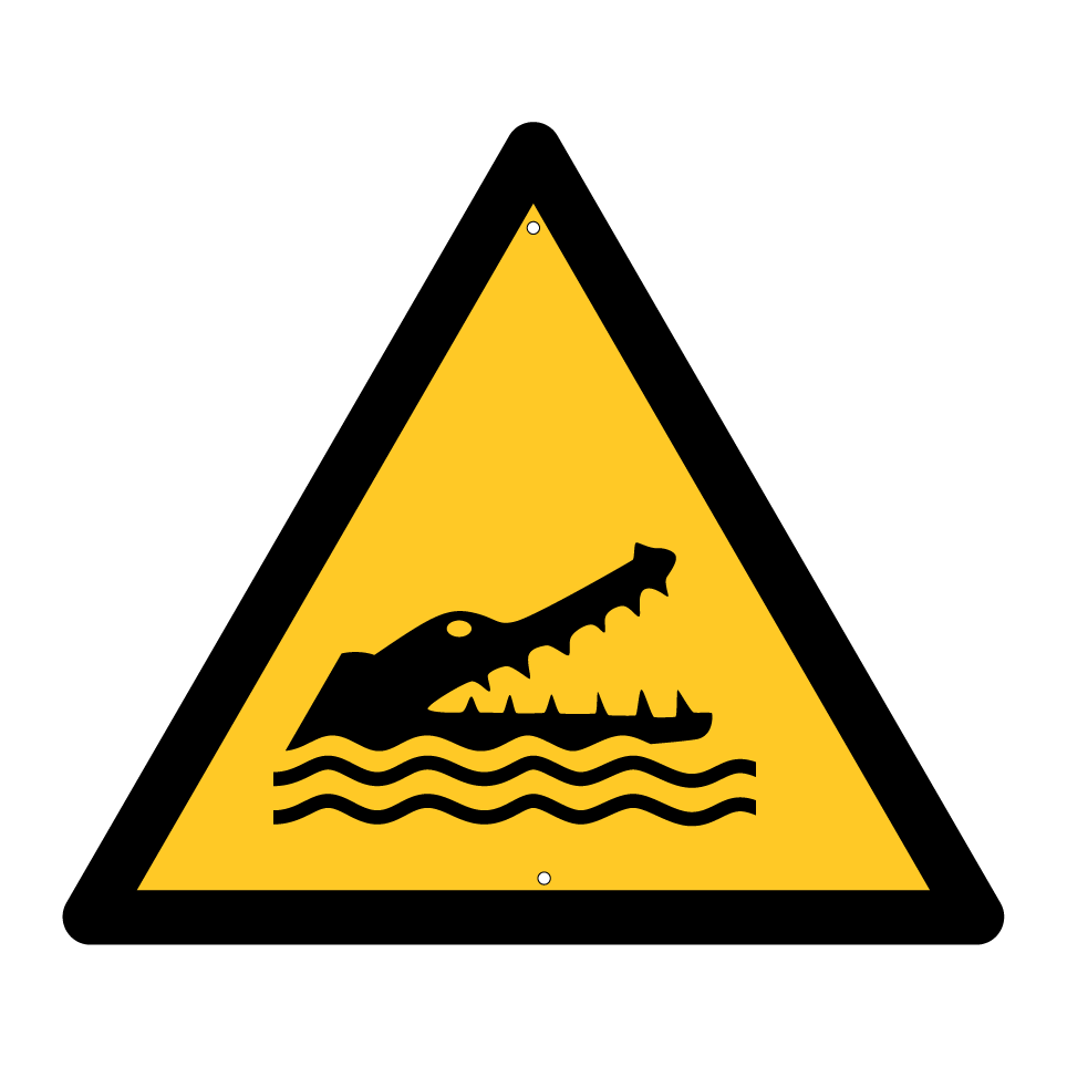 W067 Crocodiles, alligators ou caïmans
