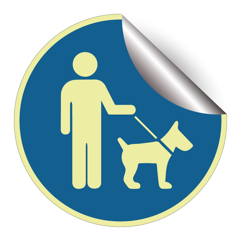 Les chiens doivent être tenus en laisse