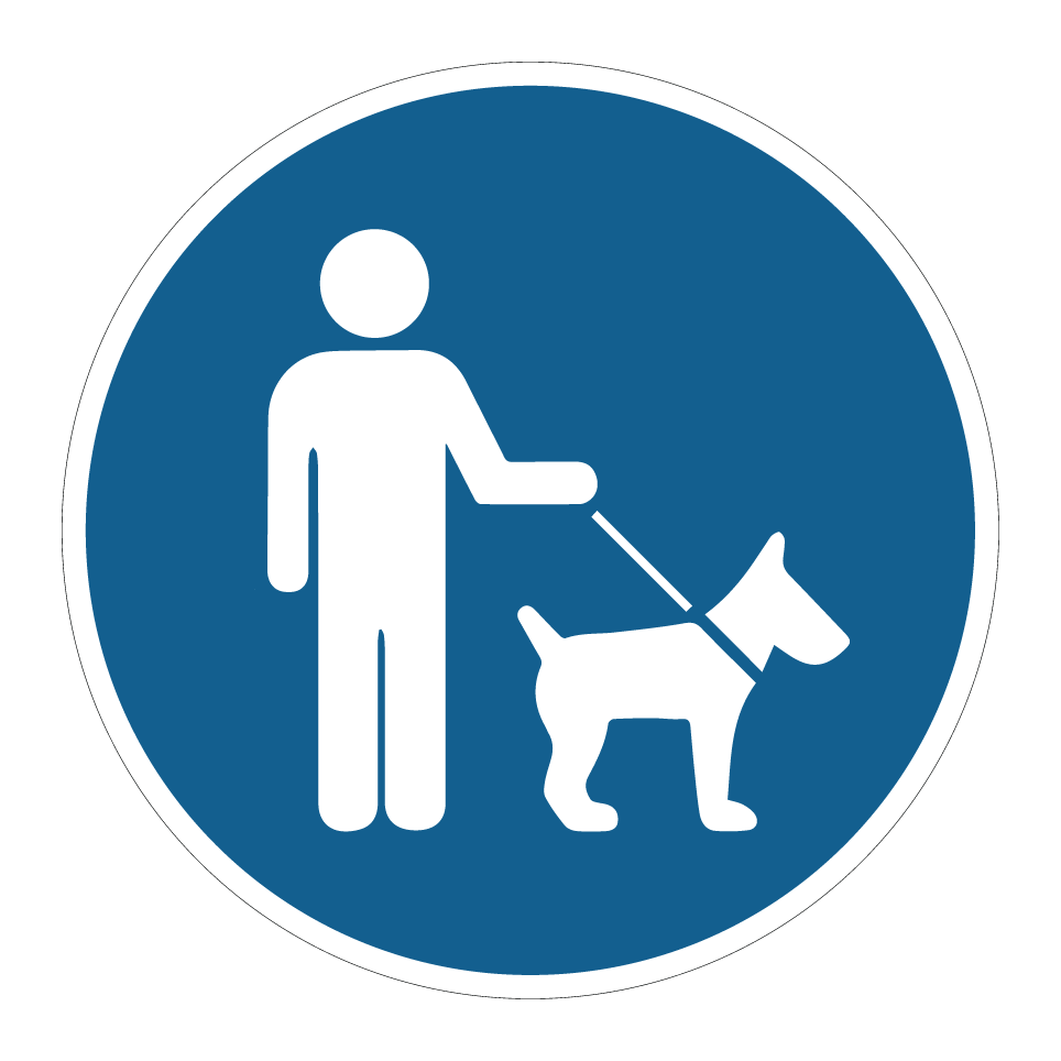 Les chiens doivent être tenus en laisse