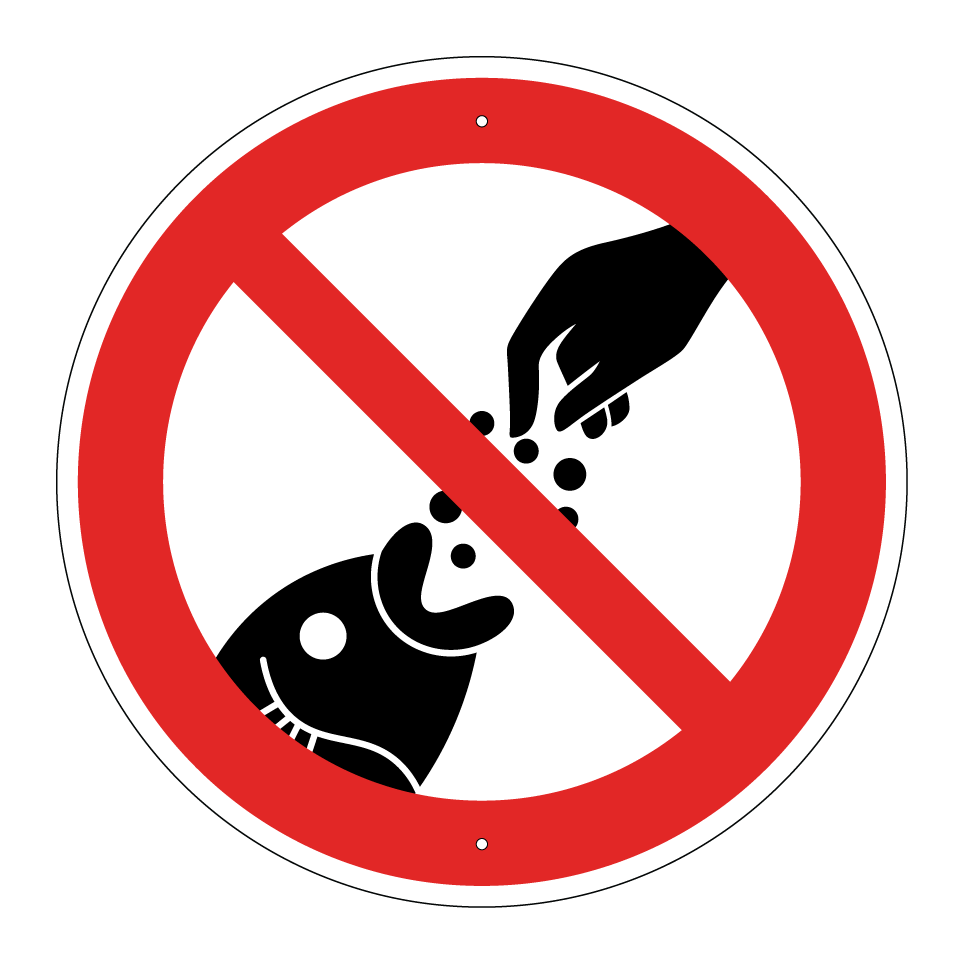 Nourrir les poissons interdit