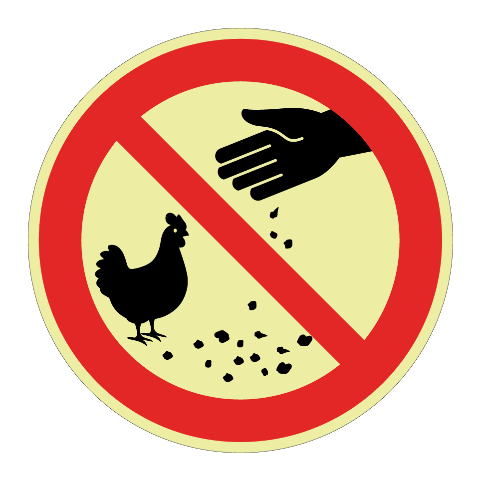 Ne pas nourrir les poules