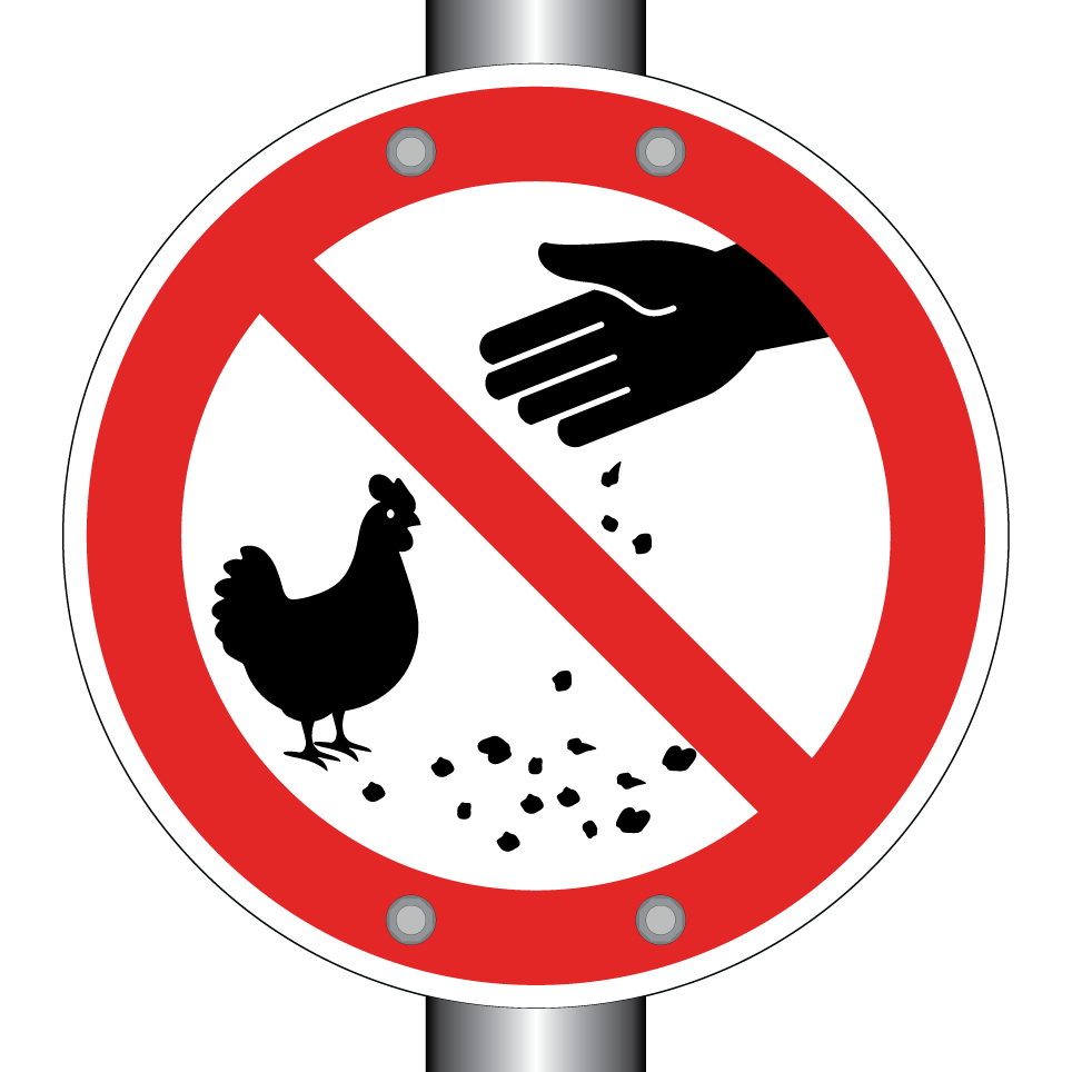 Ne pas nourrir les poules