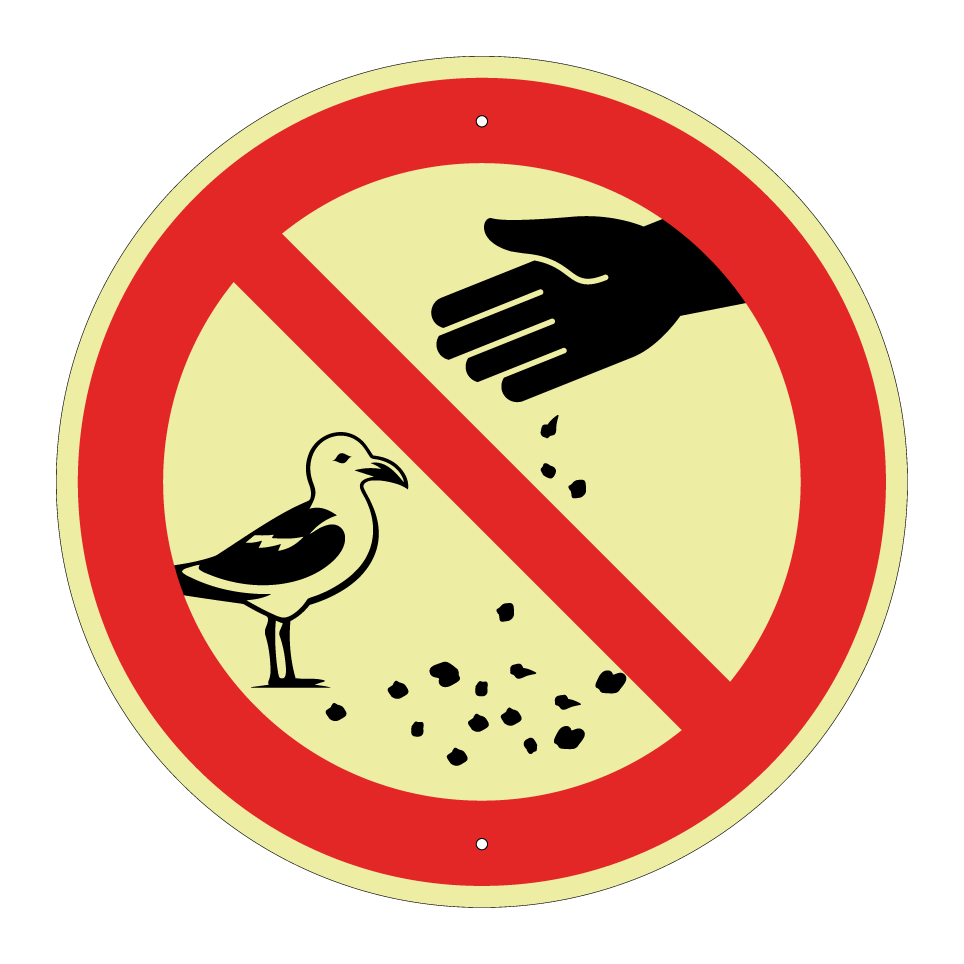 Ne pas nourrir les mouettes