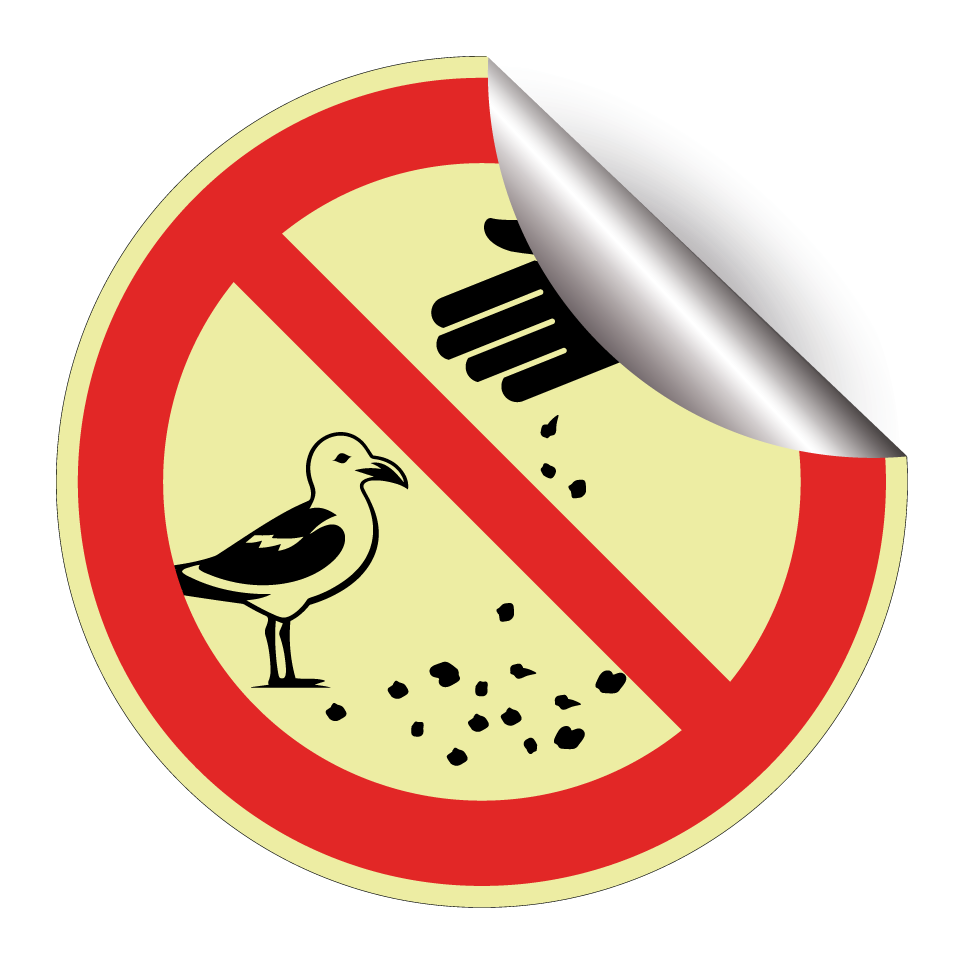 Ne pas nourrir les mouettes