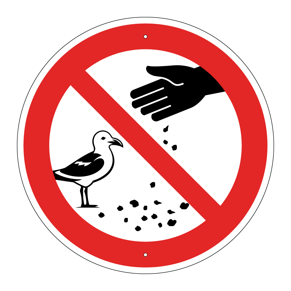 Ne pas nourrir les mouettes