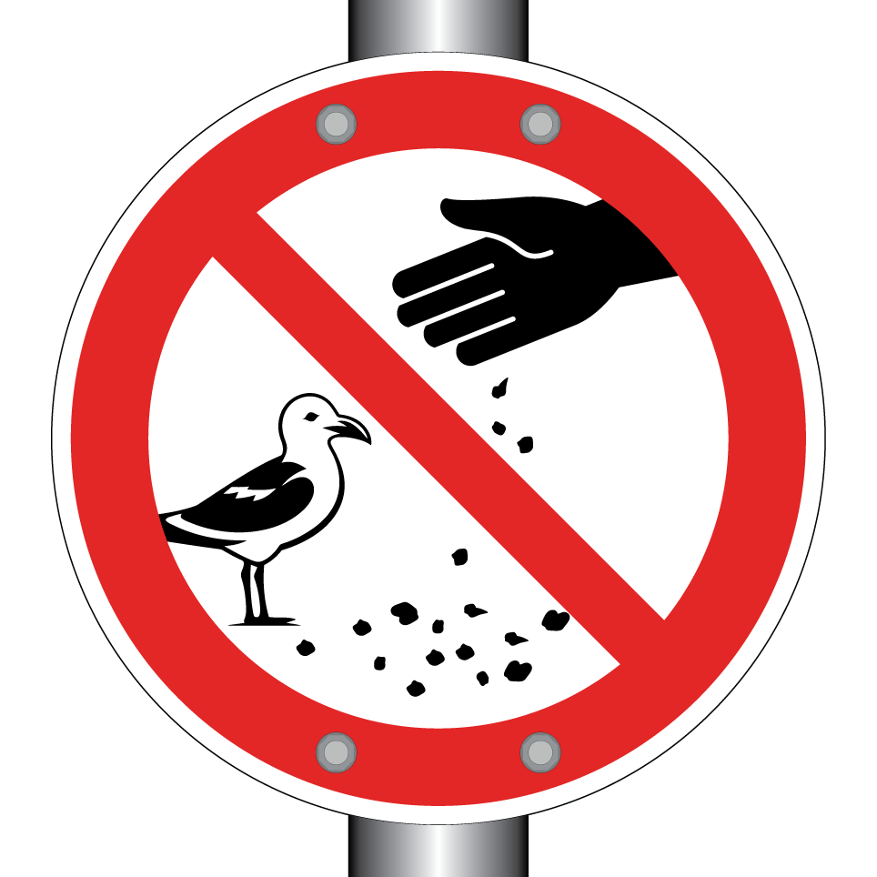 Ne pas nourrir les mouettes