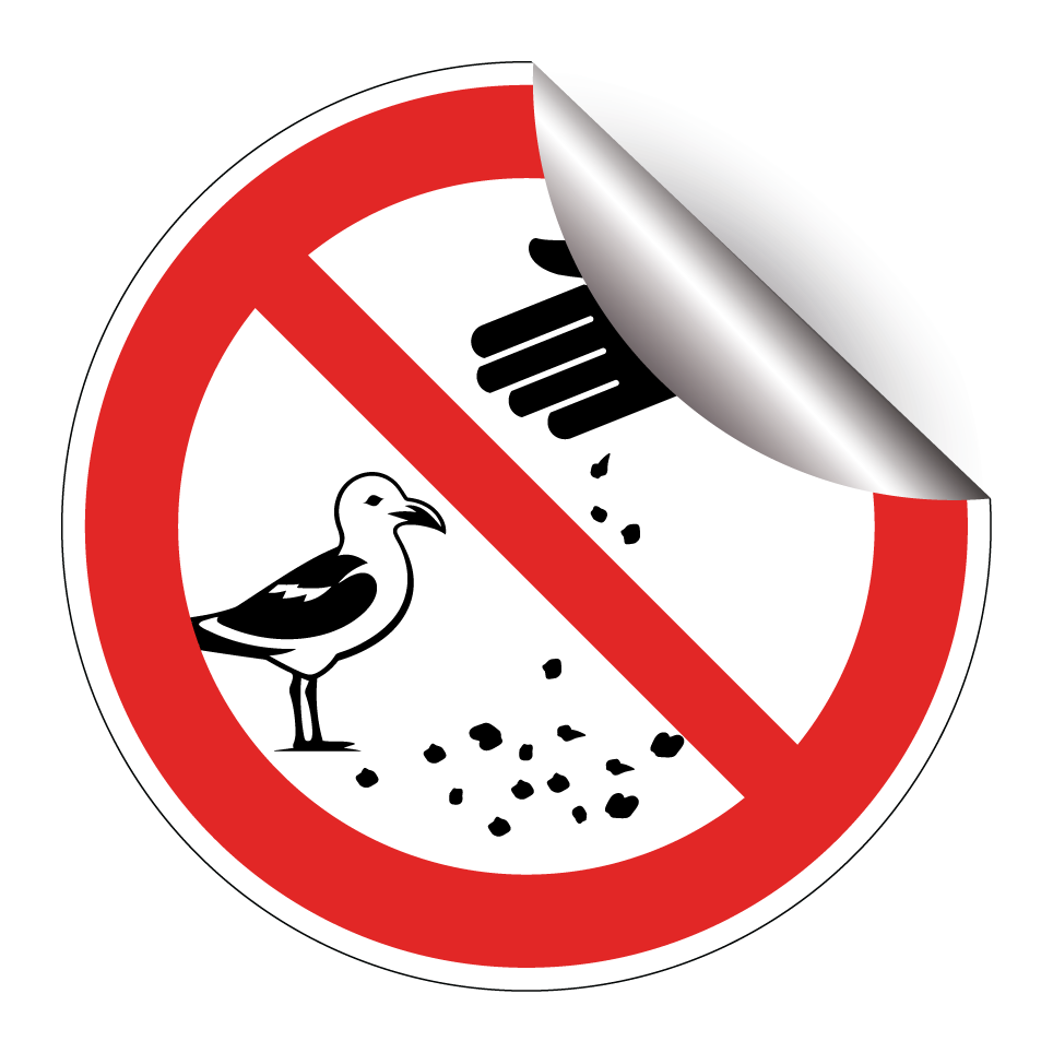Ne pas nourrir les mouettes