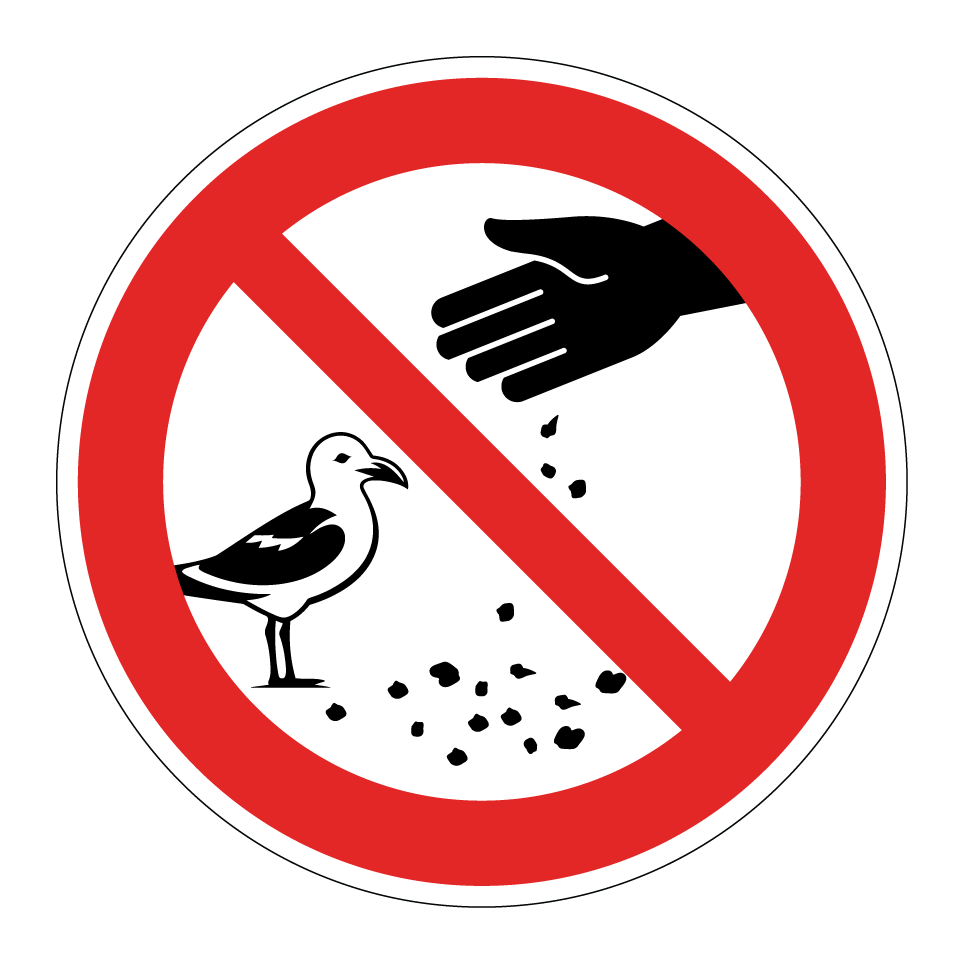 Ne pas nourrir les mouettes