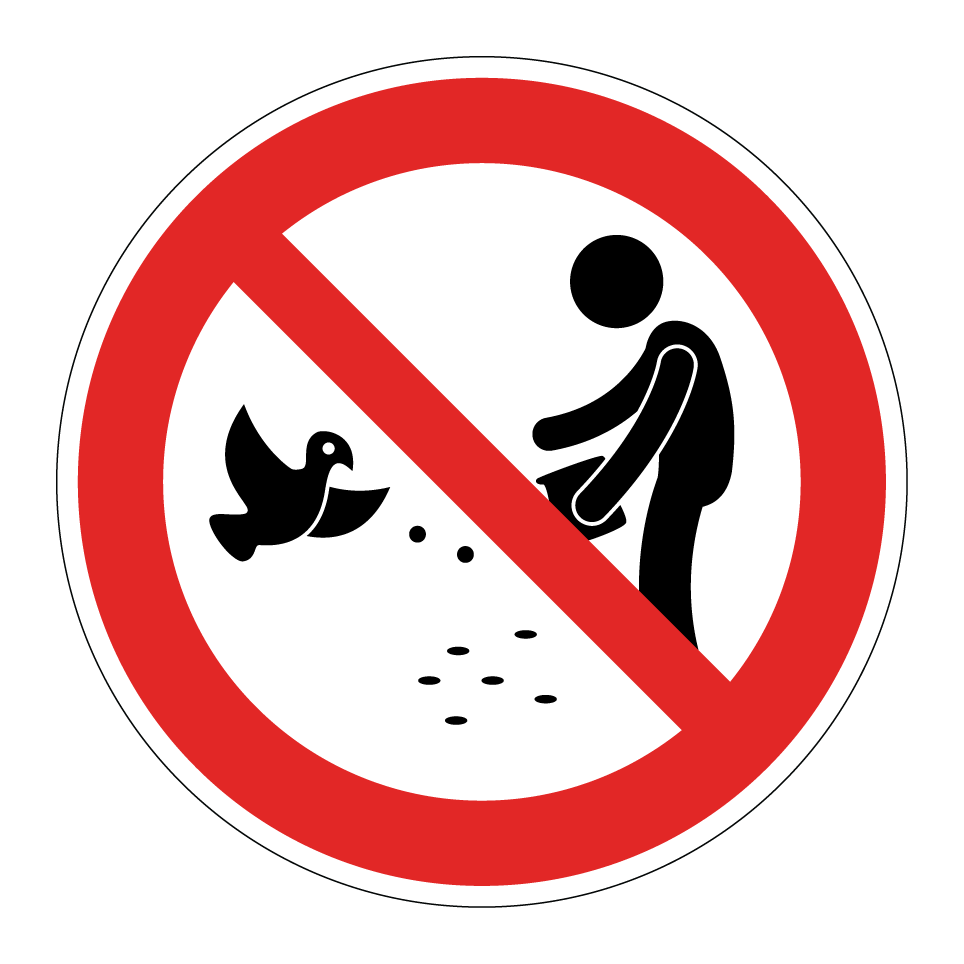 Ne pas nourrir les oiseaux