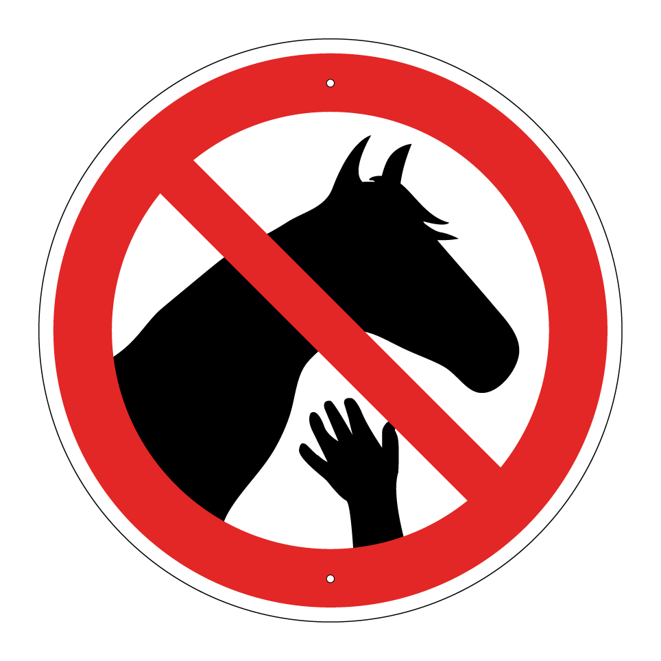 Ne pas toucher les chevaux