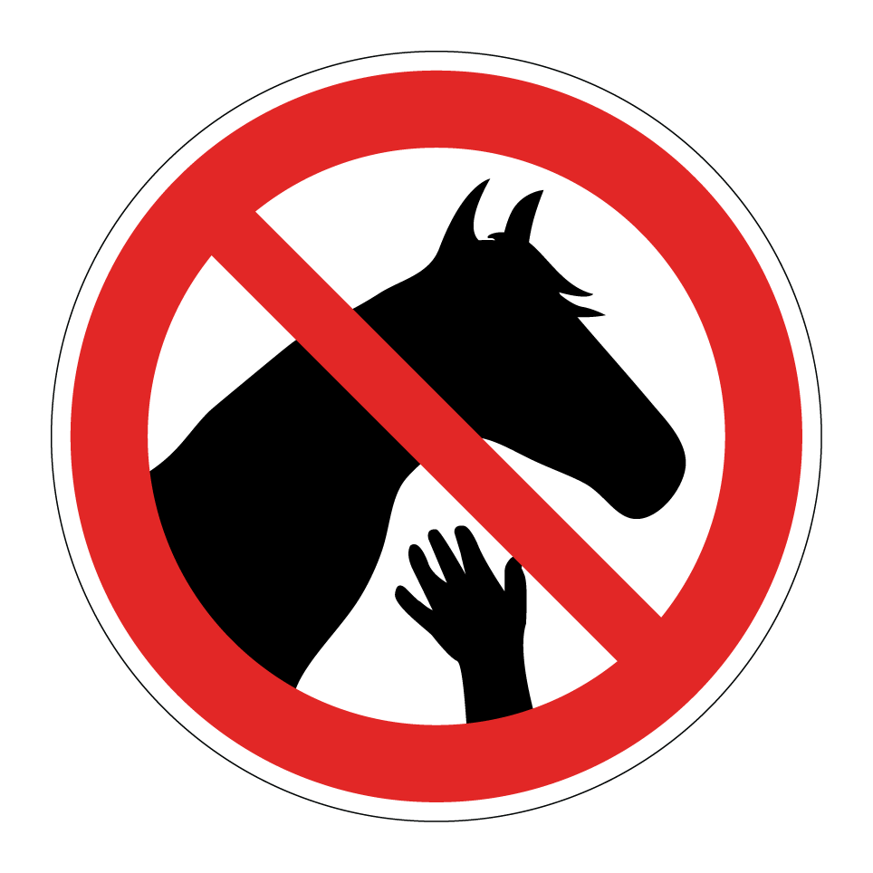 Ne pas toucher les chevaux