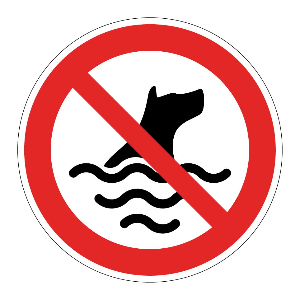 Pas de chiens dans l’eau