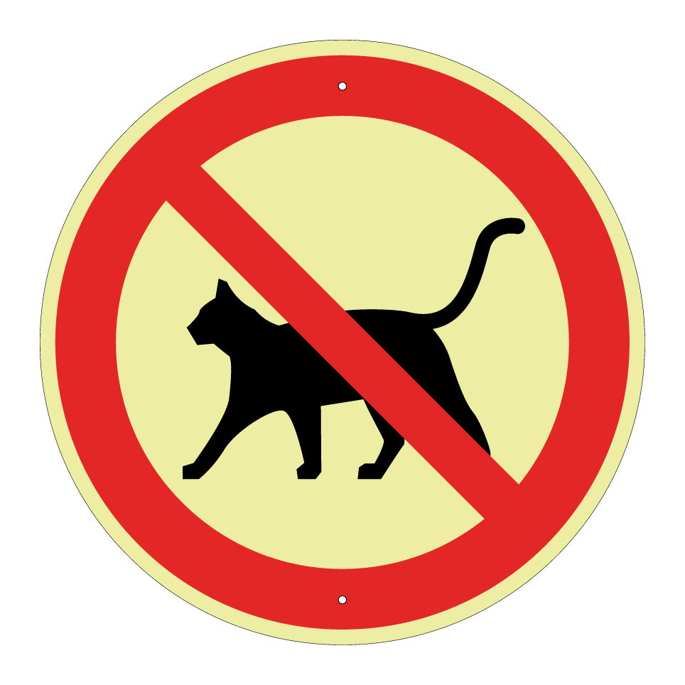 Pas de chats