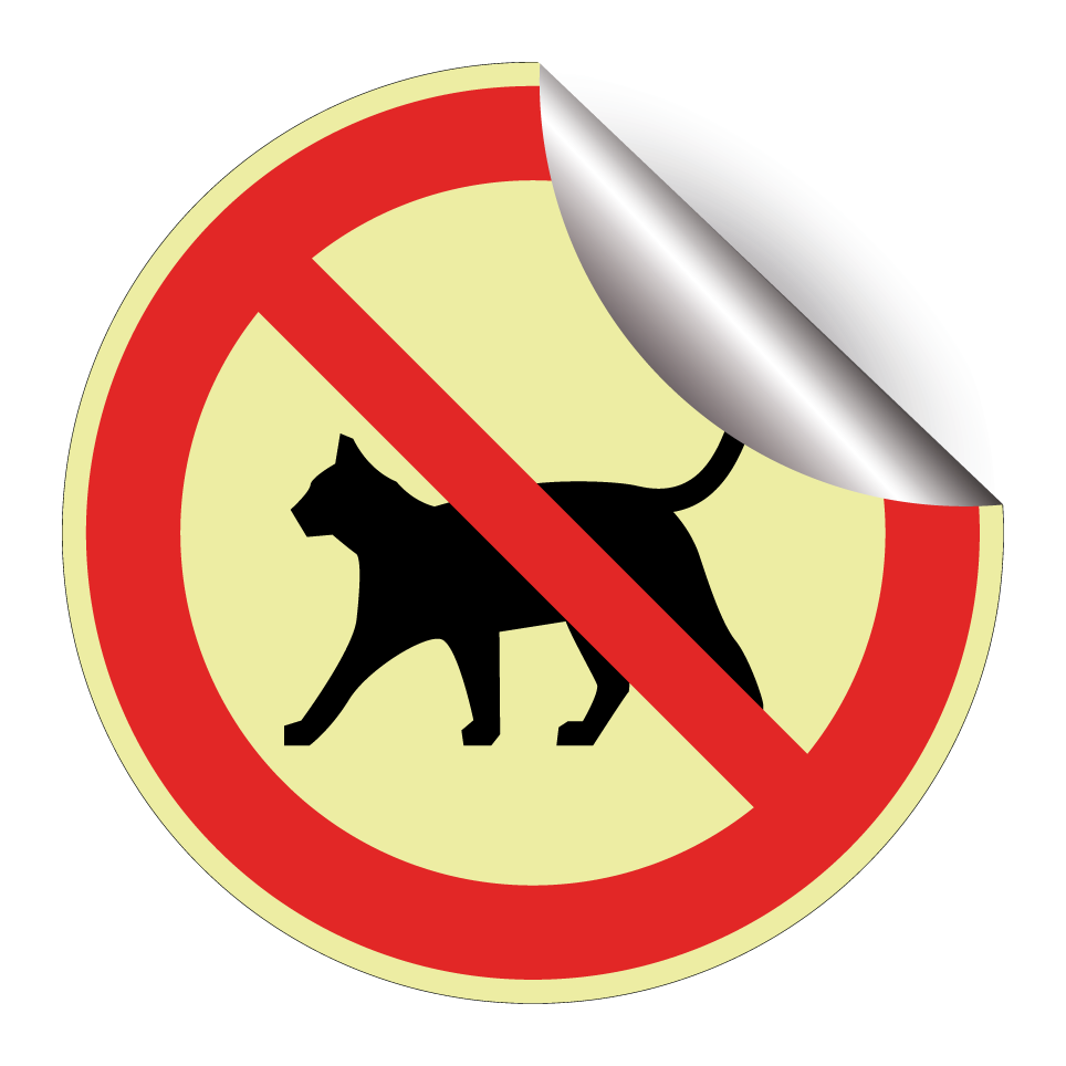 Pas de chats