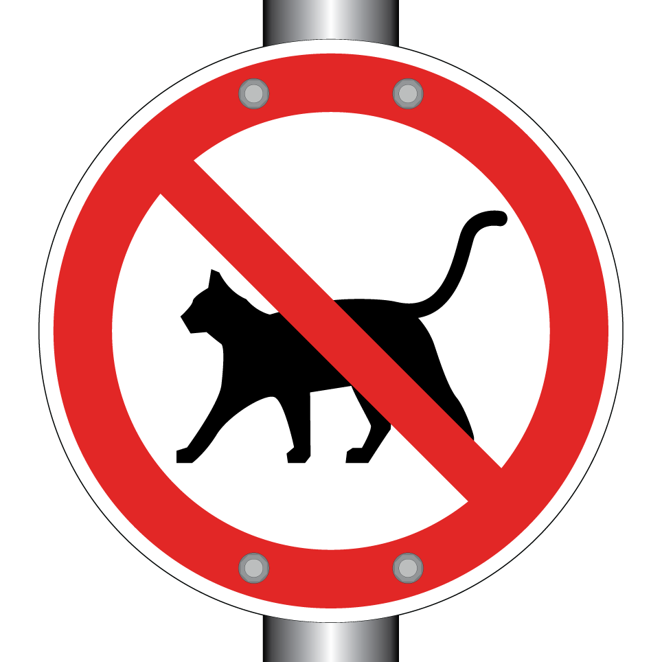 Pas de chats