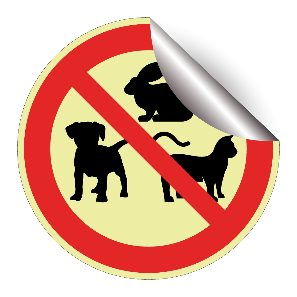 Pas d’animaux