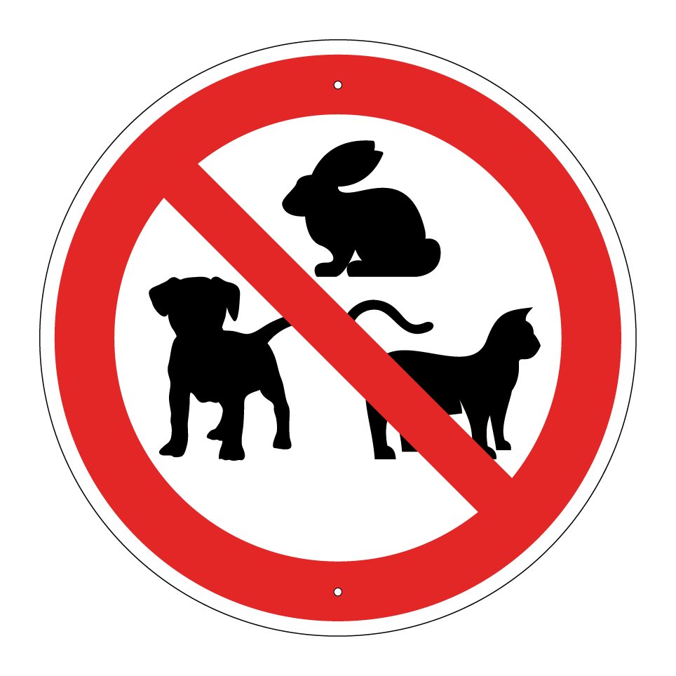 Pas d’animaux
