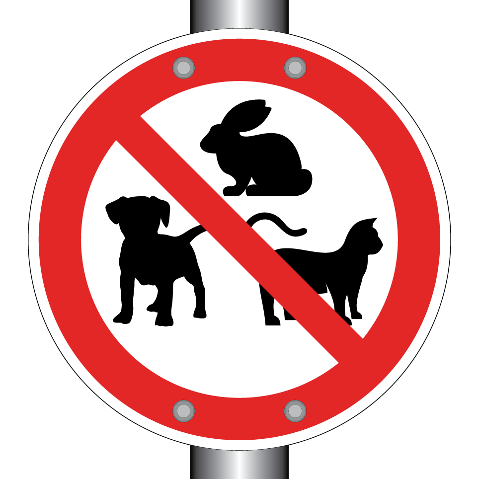 Pas d’animaux